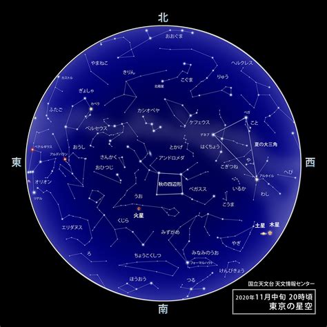 11月11日 星座